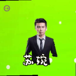苏婉